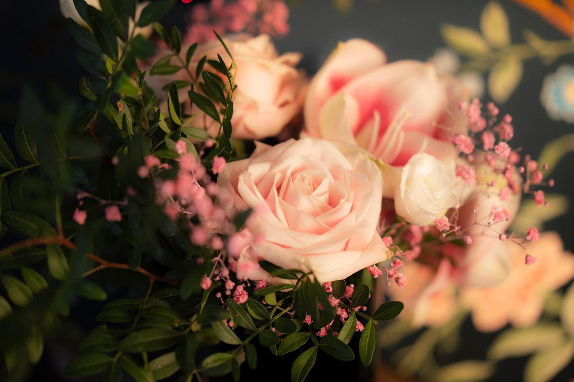 Maison Proust, & La Hotel